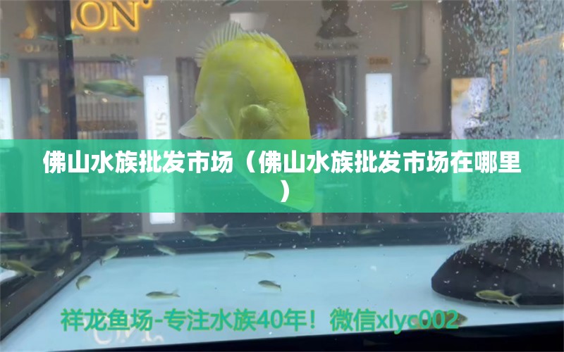 佛山水族批發(fā)市場(chǎng)（佛山水族批發(fā)市場(chǎng)在哪里）