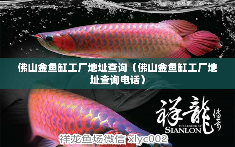 佛山金魚缸工廠地址查詢（佛山金魚缸工廠地址查詢電話）