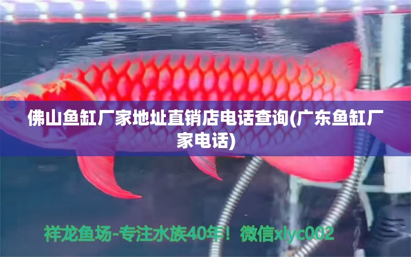 佛山魚缸廠家地址直銷店電話查詢(廣東魚缸廠家電話) 龍魚批發(fā)