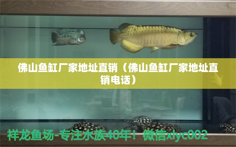 佛山魚缸廠家地址直銷（佛山魚缸廠家地址直銷電話） 廣州龍魚批發(fā)市場