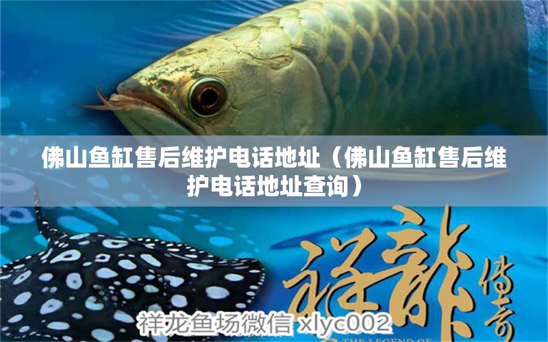 佛山魚(yú)缸售后維護(hù)電話地址（佛山魚(yú)缸售后維護(hù)電話地址查詢）