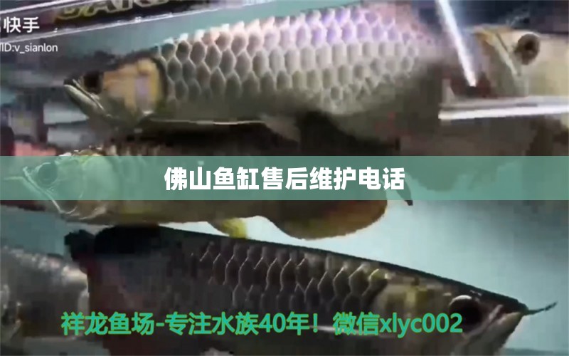 佛山魚缸售后維護電話 其他品牌魚缸