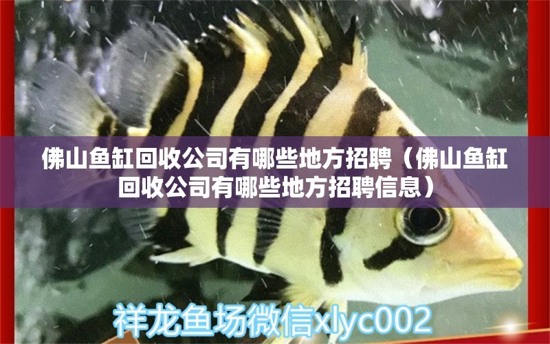 佛山魚缸回收公司有哪些地方招聘（佛山魚缸回收公司有哪些地方招聘信息）