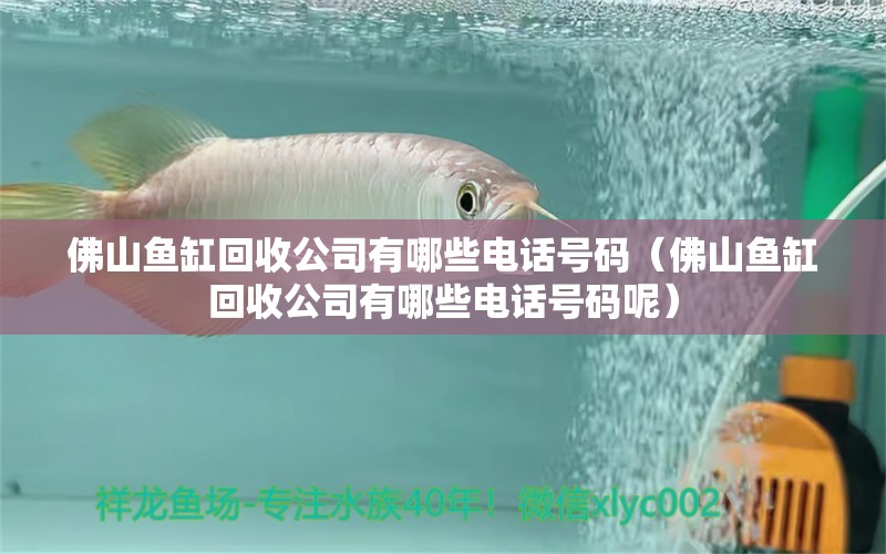 佛山魚缸回收公司有哪些電話號碼（佛山魚缸回收公司有哪些電話號碼呢）