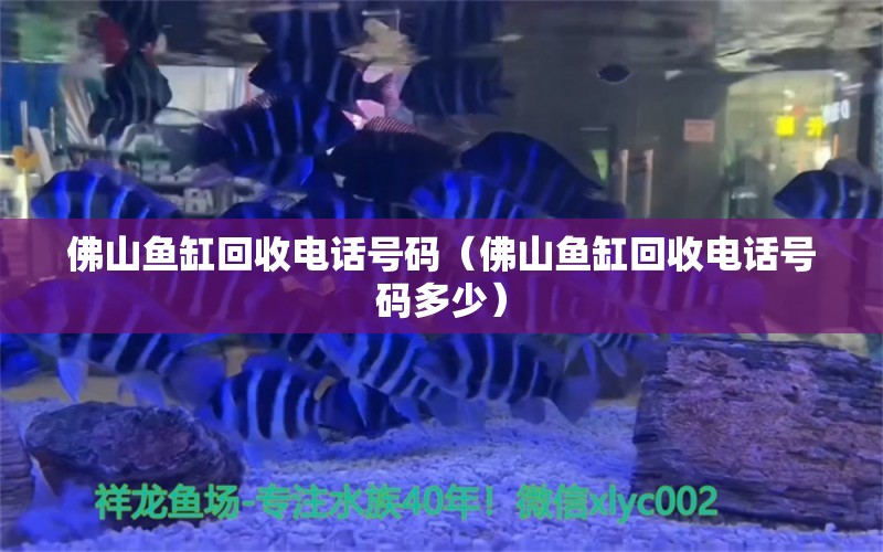 佛山魚缸回收電話號碼（佛山魚缸回收電話號碼多少）