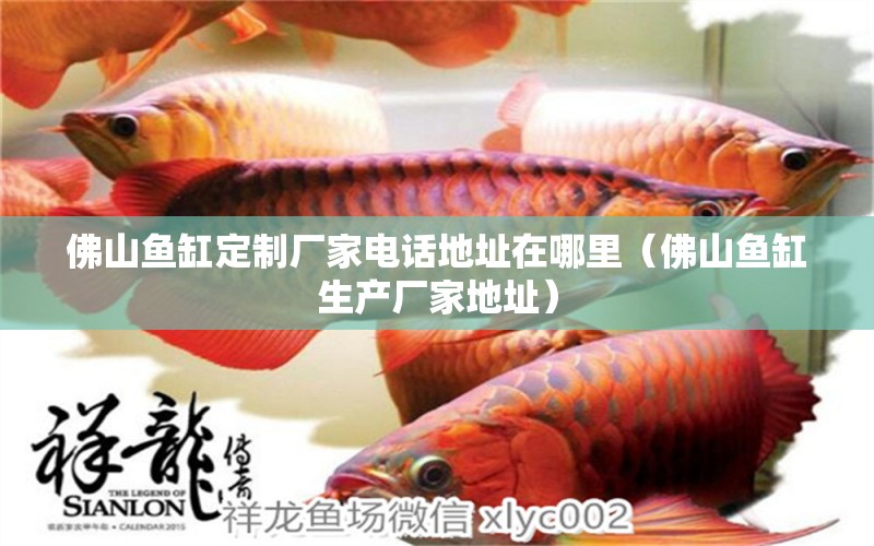 佛山魚缸定制廠家電話地址在哪里（佛山魚缸生產(chǎn)廠家地址）