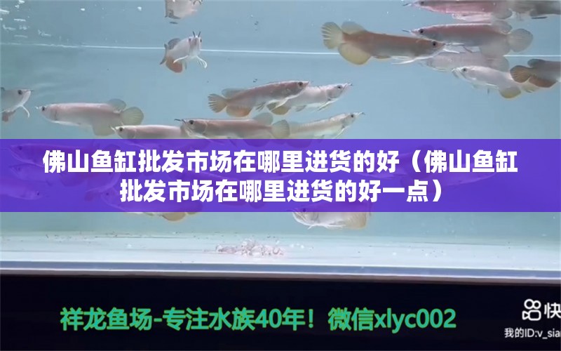 佛山魚缸批發(fā)市場在哪里進貨的好（佛山魚缸批發(fā)市場在哪里進貨的好一點）