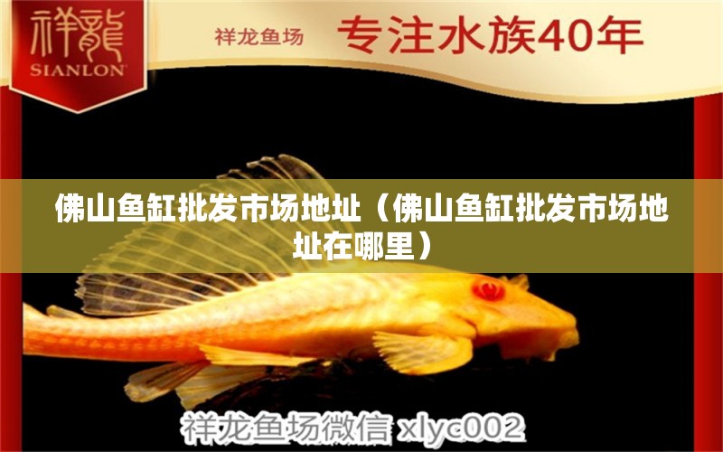 佛山魚(yú)缸批發(fā)市場(chǎng)地址（佛山魚(yú)缸批發(fā)市場(chǎng)地址在哪里） 其他品牌魚(yú)缸