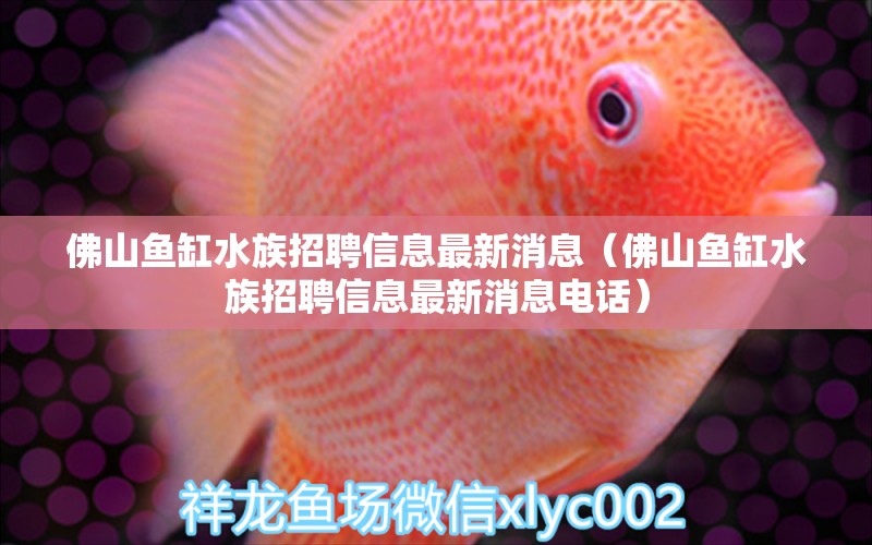 佛山魚缸水族招聘信息最新消息（佛山魚缸水族招聘信息最新消息電話）