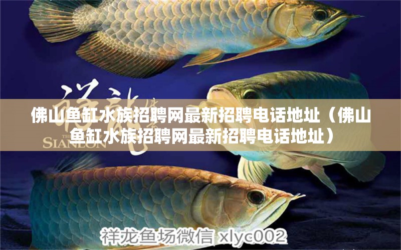 佛山魚缸水族招聘網(wǎng)最新招聘電話地址（佛山魚缸水族招聘網(wǎng)最新招聘電話地址） 森森魚缸