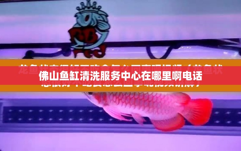 佛山魚缸清洗服務(wù)中心在哪里啊電話 水族問答 第1張