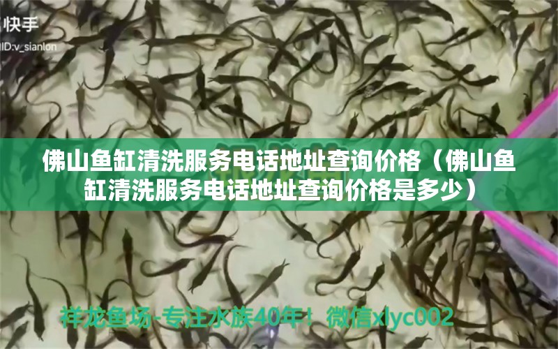 佛山魚缸清洗服務(wù)電話地址查詢價格（佛山魚缸清洗服務(wù)電話地址查詢價格是多少）