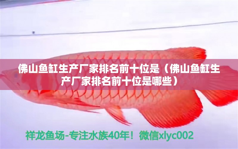 佛山魚缸生產(chǎn)廠家排名前十位是（佛山魚缸生產(chǎn)廠家排名前十位是哪些） 祥龍水族醫(yī)院