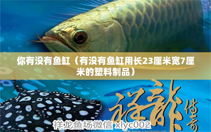 你有沒有魚缸（有沒有魚缸用長23厘米寬7厘米的塑料制品） 古典過背金龍魚