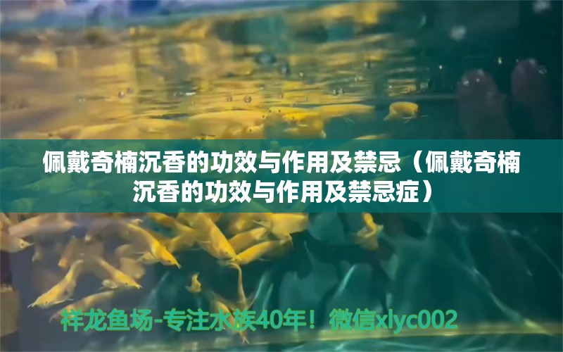 佩戴奇楠沉香的功效與作用及禁忌（佩戴奇楠沉香的功效與作用及禁忌癥）