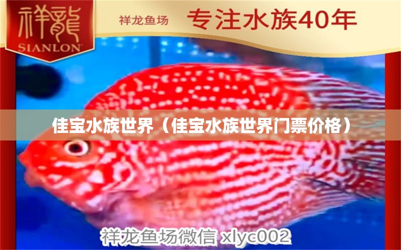 佳寶水族世界（佳寶水族世界門票價(jià)格） 全國水族館企業(yè)名錄