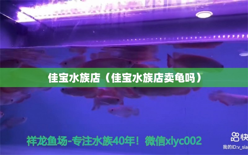 佳寶水族店（佳寶水族店賣龜嗎）