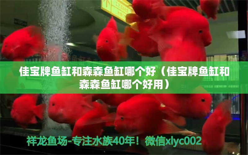 佳寶牌魚缸和森森魚缸哪個(gè)好（佳寶牌魚缸和森森魚缸哪個(gè)好用） 巴西亞魚