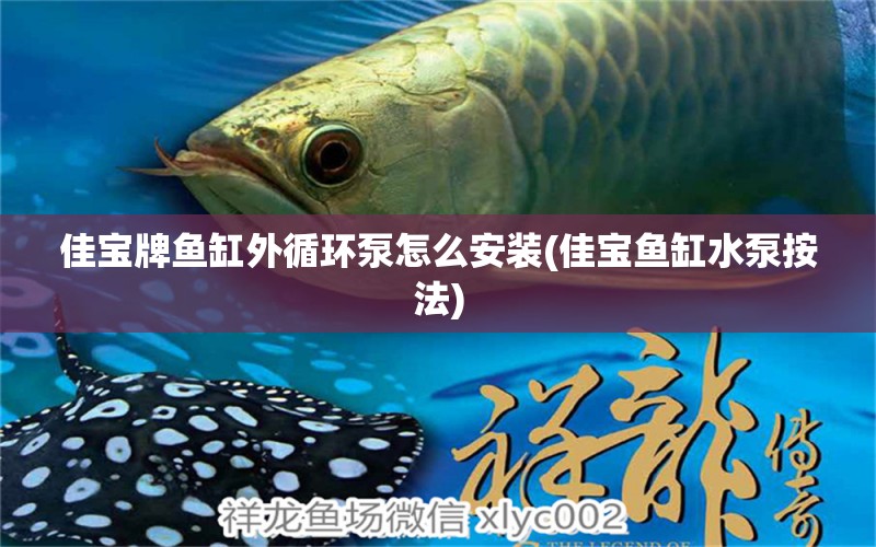 佳寶牌魚缸外循環(huán)泵怎么安裝(佳寶魚缸水泵按法) 魚缸水泵