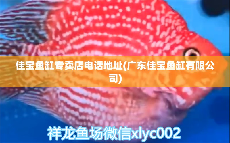 佳寶魚缸專賣店電話地址(廣東佳寶魚缸有限公司) 海象魚