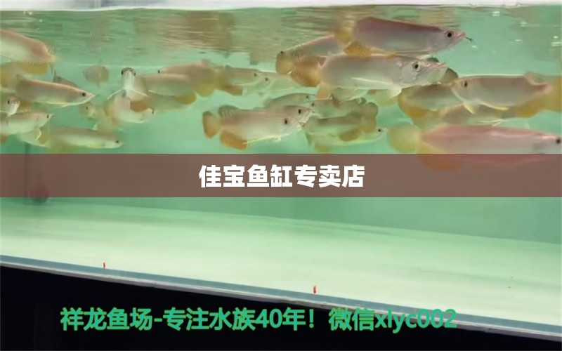 佳寶魚缸專賣店