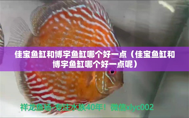 佳寶魚缸和博宇魚缸哪個好一點（佳寶魚缸和博宇魚缸哪個好一點呢）