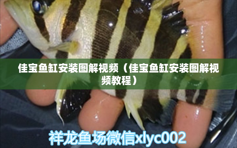 佳寶魚缸安裝圖解視頻（佳寶魚缸安裝圖解視頻教程）