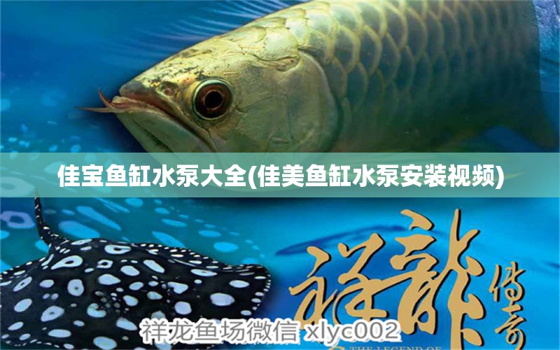 佳寶魚缸水泵大全(佳美魚缸水泵安裝視頻) 魚缸水泵