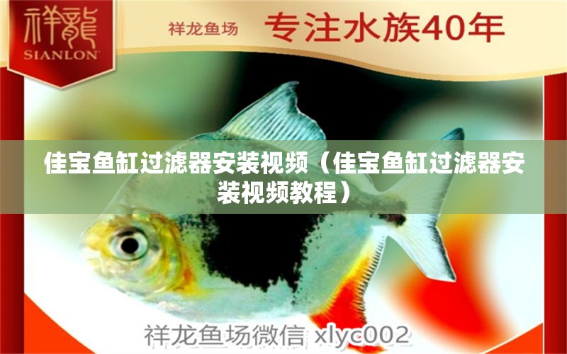 佳寶魚缸過濾器安裝視頻（佳寶魚缸過濾器安裝視頻教程）