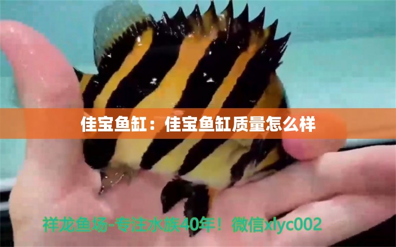 佳寶魚缸：佳寶魚缸質(zhì)量怎么樣