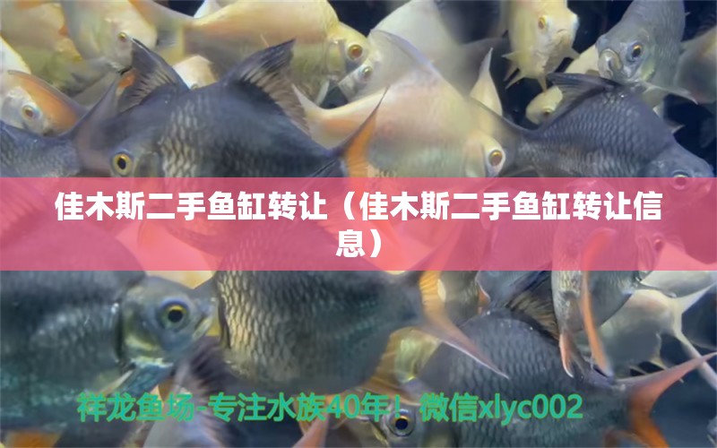 佳木斯二手魚缸轉(zhuǎn)讓（佳木斯二手魚缸轉(zhuǎn)讓信息）