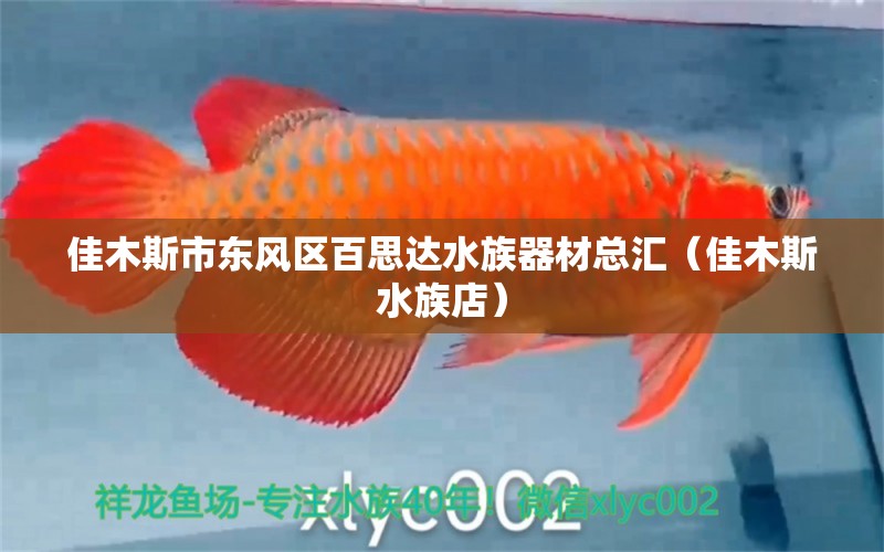 佳木斯市東風(fēng)區(qū)百思達(dá)水族器材總匯（佳木斯水族店） 全國水族館企業(yè)名錄