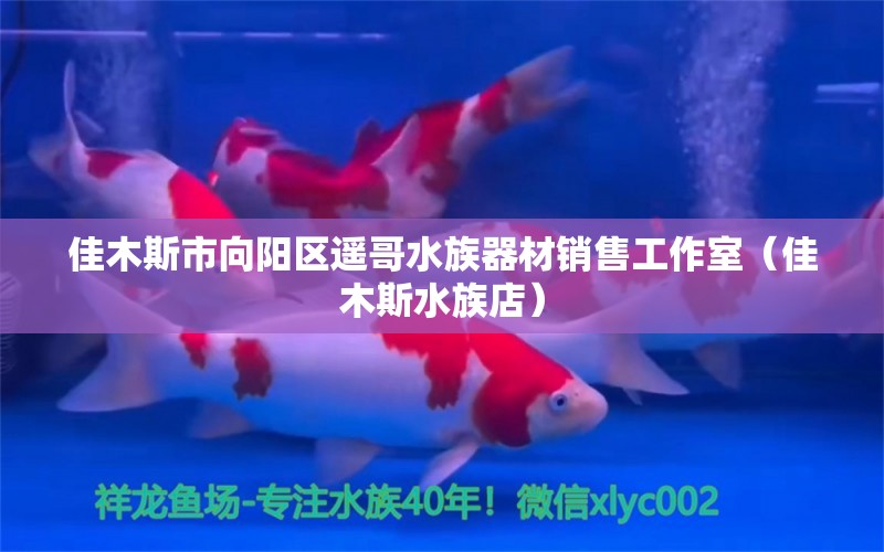 佳木斯市向陽(yáng)區(qū)遙哥水族器材銷售工作室（佳木斯水族店）