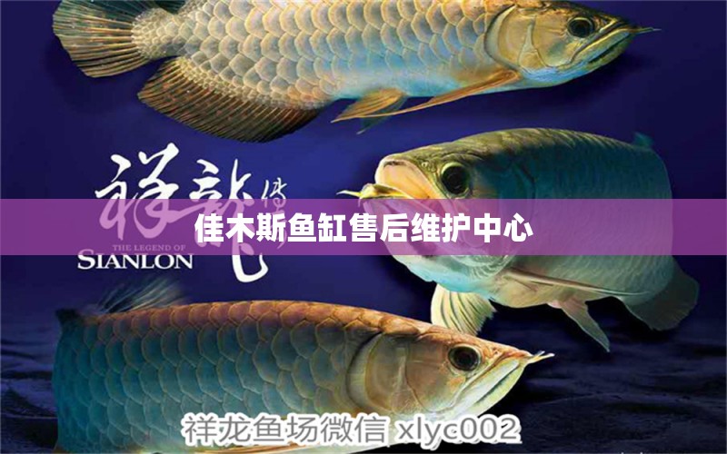 佳木斯魚缸售后維護(hù)中心 其他品牌魚缸