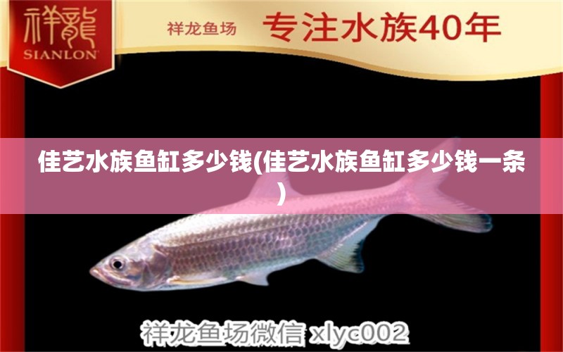 佳藝水族魚缸多少錢(佳藝水族魚缸多少錢一條) 福魟魟魚