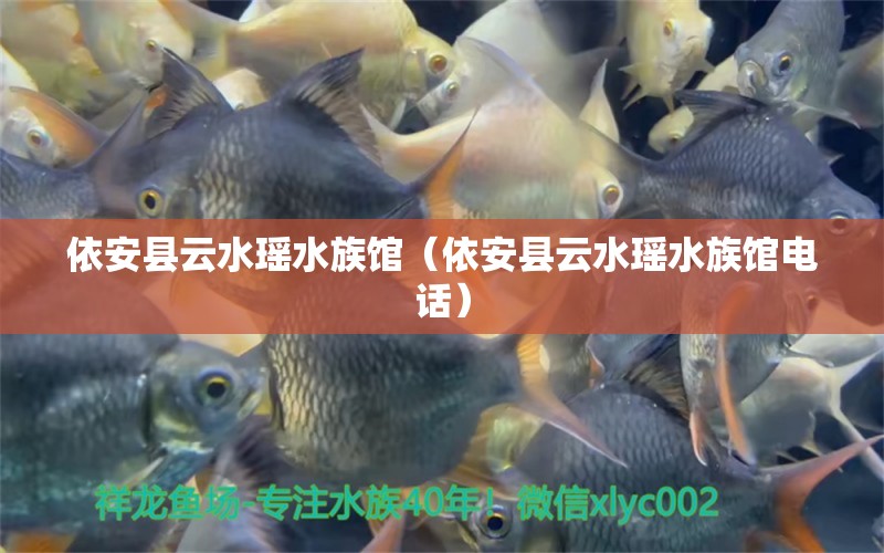 依安縣云水瑤水族館（依安縣云水瑤水族館電話）