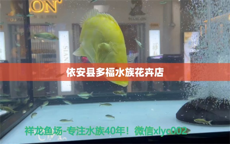 依安縣多福水族花卉店 全國水族館企業(yè)名錄