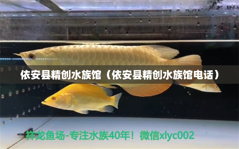 依安縣精創(chuàng)水族館（依安縣精創(chuàng)水族館電話）