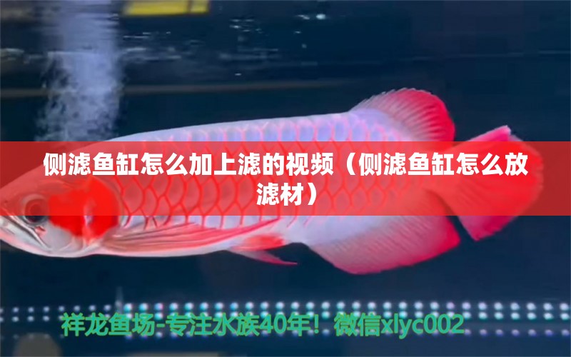 側(cè)濾魚缸怎么加上濾的視頻（側(cè)濾魚缸怎么放濾材）