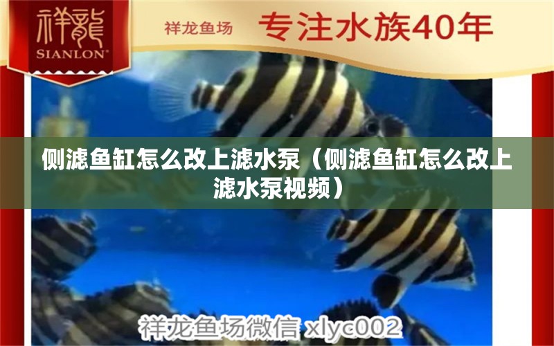 側(cè)濾魚缸怎么改上濾水泵（側(cè)濾魚缸怎么改上濾水泵視頻）