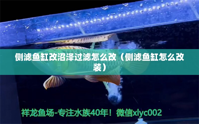 側濾魚缸改沼澤過濾怎么改（側濾魚缸怎么改裝）