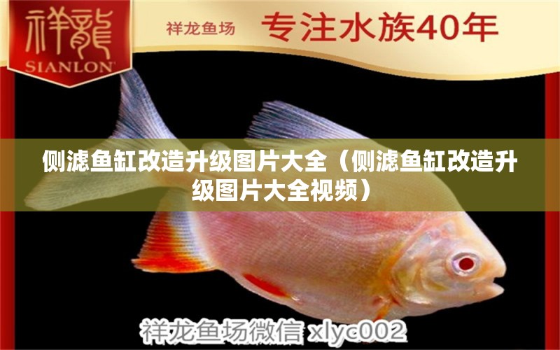 側濾魚缸改造升級圖片大全（側濾魚缸改造升級圖片大全視頻）