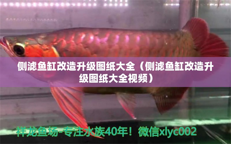 側濾魚缸改造升級圖紙大全（側濾魚缸改造升級圖紙大全視頻）