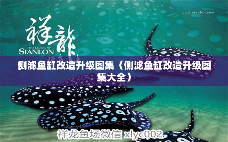 側濾魚缸改造升級圖集（側濾魚缸改造升級圖集大全）