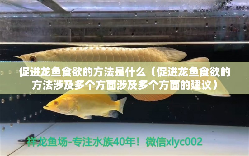 促進龍魚食欲的方法是什么（促進龍魚食欲的方法涉及多個方面涉及多個方面的建議） 龍魚百科 第2張