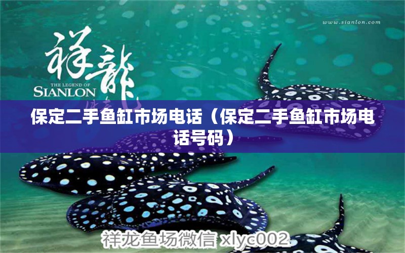 保定二手魚(yú)缸市場(chǎng)電話（保定二手魚(yú)缸市場(chǎng)電話號(hào)碼）