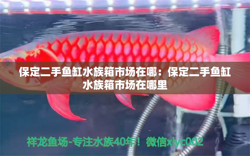 保定二手魚缸水族箱市場在哪：保定二手魚缸水族箱市場在哪里 魚缸/水族箱