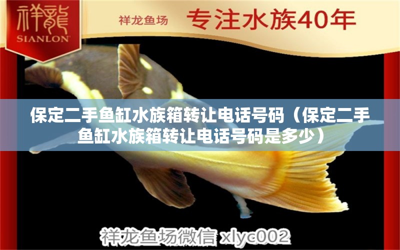 保定二手魚缸水族箱轉(zhuǎn)讓電話號碼（保定二手魚缸水族箱轉(zhuǎn)讓電話號碼是多少） 魚缸/水族箱