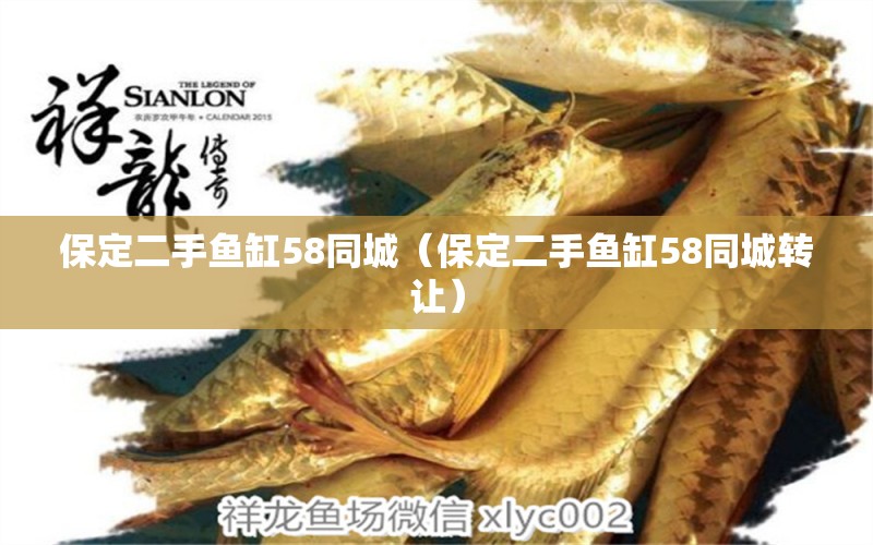 保定二手魚缸58同城（保定二手魚缸58同城轉(zhuǎn)讓）