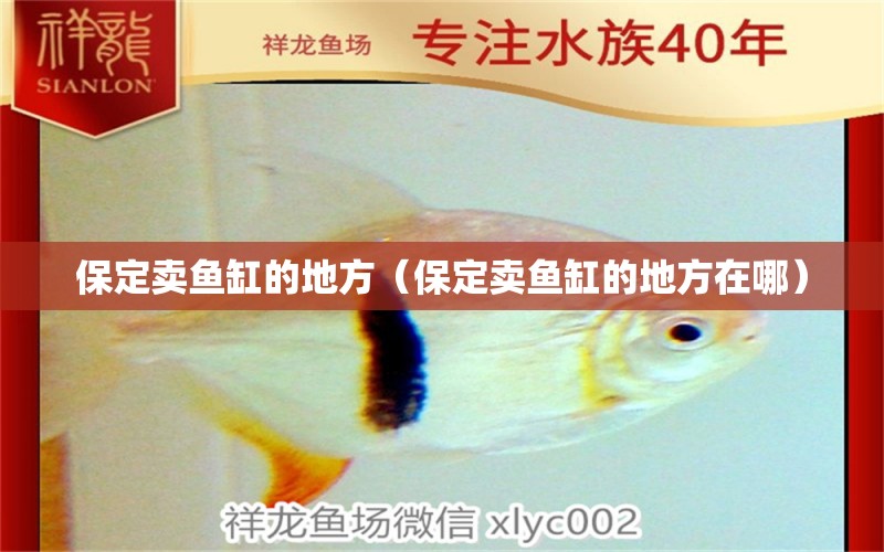 保定賣魚缸的地方（保定賣魚缸的地方在哪） 其他品牌魚缸